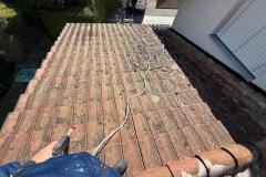 WhatsApp-Image-2026-03-09-at-22.29.29-3